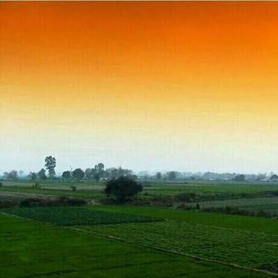 vinvin49's profile picture. 