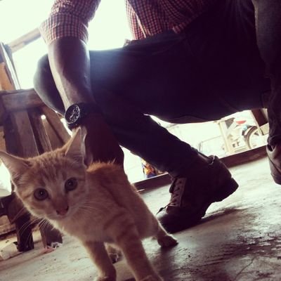 Sylasbuka4's profile picture. 