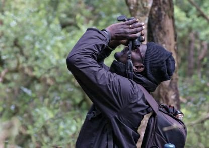 martin_odino's profile picture. Ornithologist (keen on raptors,  especially vultures), MSc by Res. student (University of Exeter)  & wildlife photographer