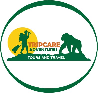 We are a tour and travel company operating in Africa and we take care of our clients, give them an unforgettable experience.
we are located in https://t.co/6aqd2npC8x.