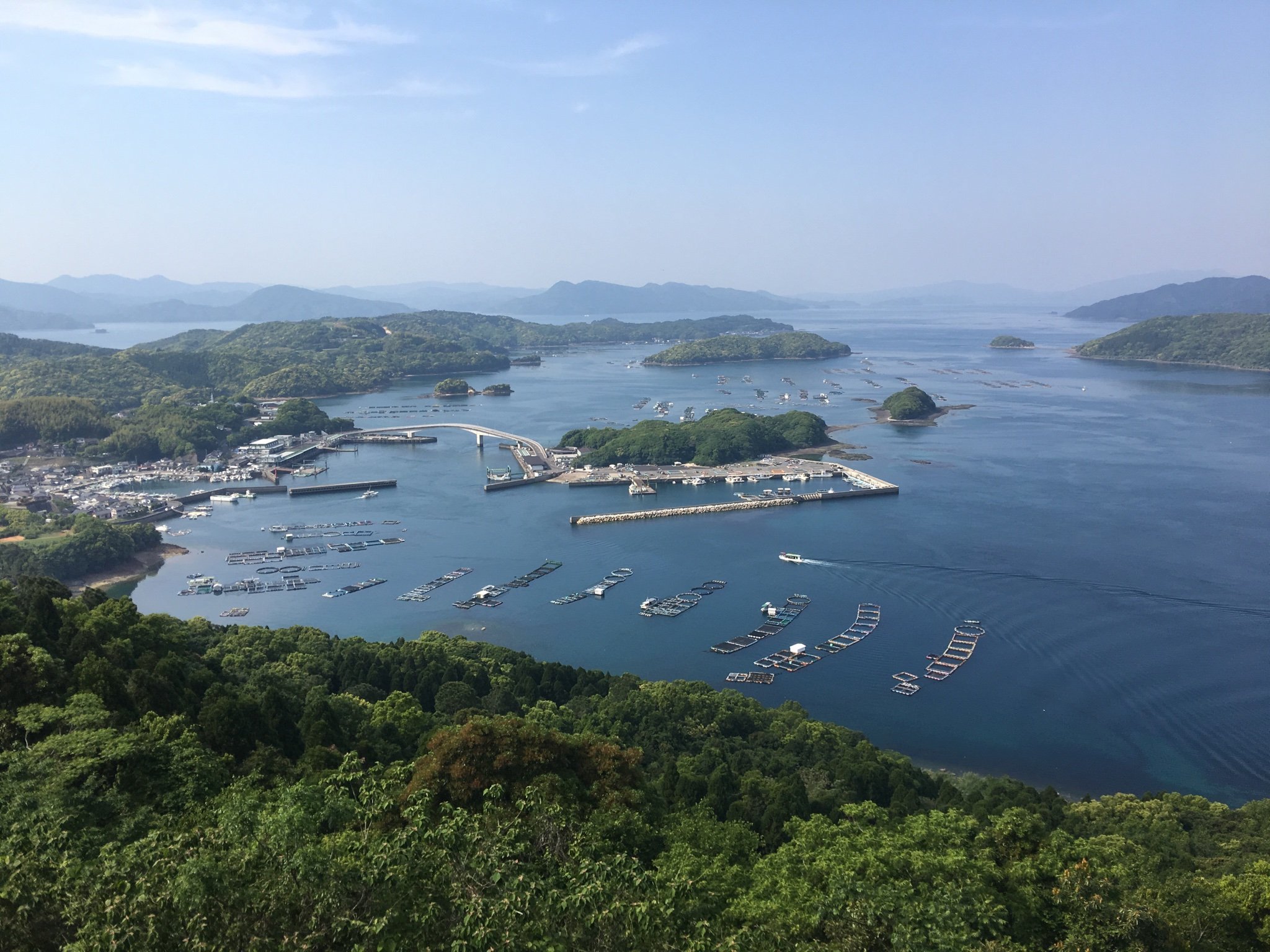 IET7Lq0JspmOyzD's profile picture. 