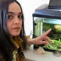Татьяна Зимовец (@tatiana_zimovec) 's Twitter Profile Photo Татьяна Зимовец (@tatiana_zimovec) 's Twitter Profile Photo