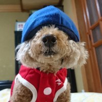 rint (@rintc2) 's Twitter Profile