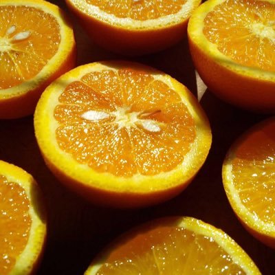 PeterFulton's profile picture. 