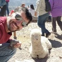 Felipe Zampi (@fezampieri) 's Twitter Profile