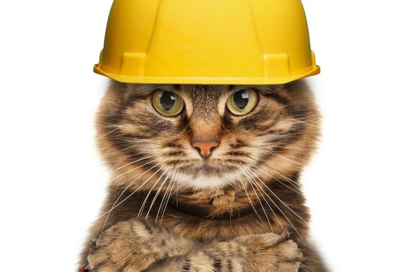 🇬🇧 London Builders Town 👷🏻♂️ offers domestic & commercial building services
⬇️Free estimate⬇️
☎️0792 052 1287
✉️ info@builderstown.co.uk