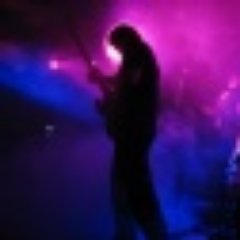 the_koas's profile picture. 