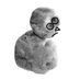 Daniel Bamberger Profile picture