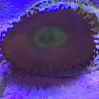 Tony W (@twoodley2008) 's Twitter Profile
