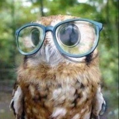 pradeepch99's profile picture. Penetration Tester, Bug Bounty Hunter