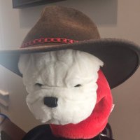 @UGAHaacker (@ugahaacker) 's Twitter Profile