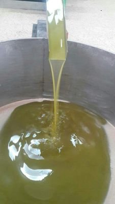 Olive oil bottling https://t.co/onKyzi5xiv