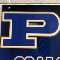 Pflugerville HS Softball(@phspanthersb) 's Twitter Profileg