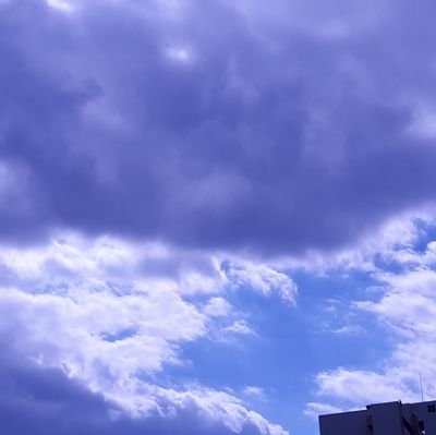 코와さんのプロフィール画像