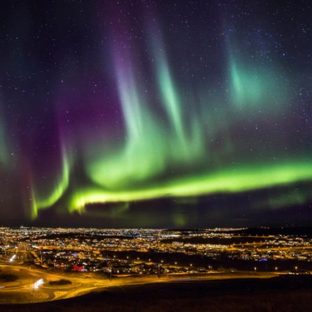 blue9653642215's profile picture. wolf😀