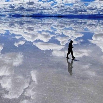 bccm_t's profile picture. 