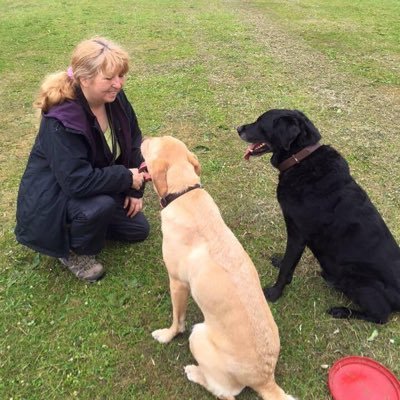 Behaviourist & dog trainer classes in Luton & 1-2-1 lessons in Beds,Herts & surrounding areas.                   https://t.co/ou1W3qEBOz