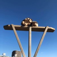 仙台女子野球チャレンジャーズ (@challengers0919) 's Twitter Profile