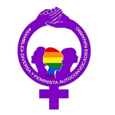 Asamblea Diversa y Feminista - Navarro