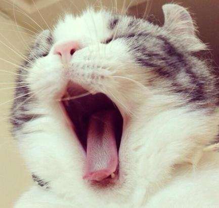 YiCalder's profile picture. CD,12cm高跟鞋、长靴控，梦想是7/24前锁后塞，穿着12cm以上高跟鞋/长靴成为rbq，做你想对我做的事吧😘