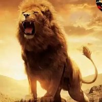 د.عبدالعزيز Aziz (@aziz00162) Twitter profile photo