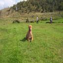 damian paredes - @demiax24 - Twitter