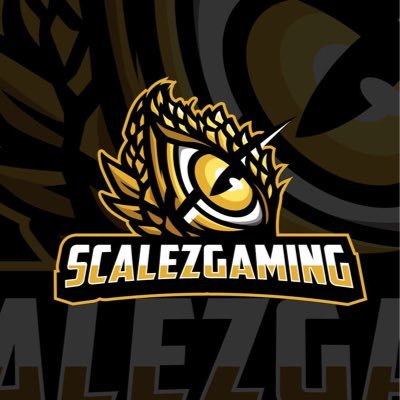 Twitch Affiliate | Just your average gamer here to entertain. Come watch me rage quit 🤯 | Use code “ScaleHandz” 10% discount off @FatalGrips | @Arozzichairs