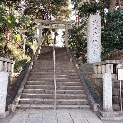 momo428428momo's profile picture. 宜しくお願いします