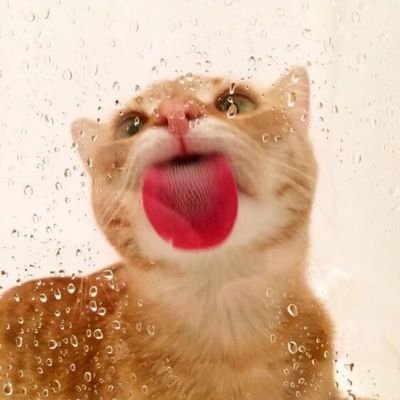 U47CzQnCVHzDcnP's profile picture. 