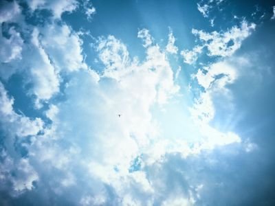 hk_genkigenki's profile picture. 