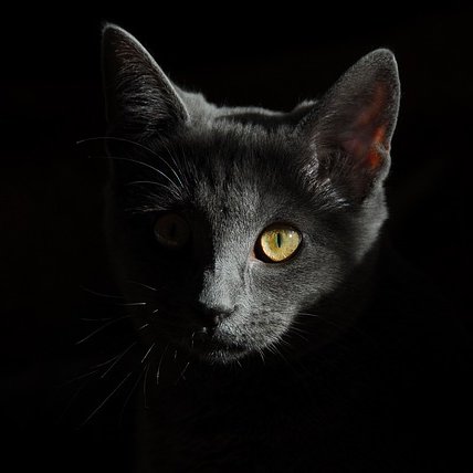 webmatters4's profile picture. 