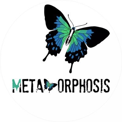 metamorphosispk's profile picture. transforming talent into skills ~