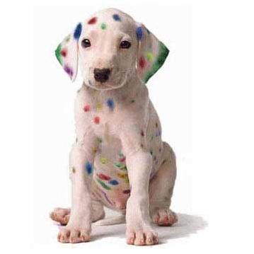 Speedprobucks's profile picture. The one and only wide format imaging specialist! We do everything from banners, trade show needs, vehicle and building wraps and much more!