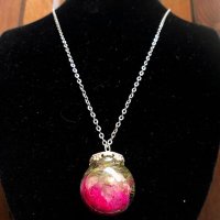 FORAGED NATURE (@foragednature) 's Twitter Profile Photo