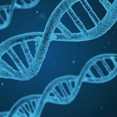 B1oTech's profile picture. All in biotech