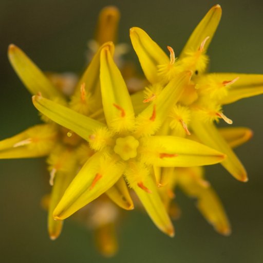 vlaschki's profile picture. Just here to fill the time I dedicate to procrastination, by reading some inspirational contents about science or by expressing my admiration for your work.