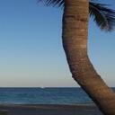 EmeraldHart - @Emerald_Hart - Twitter