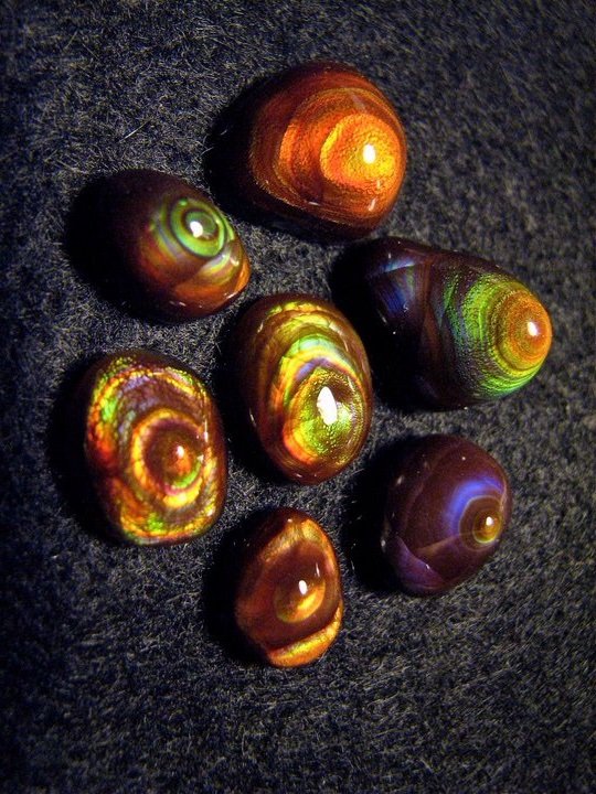 Zarasha4's profile picture. progressive independent, deeply ashamed I ever called myself a democrat. #WeaponizeYourVote the only tool you've got. single mom who loves cats, WoW & good food