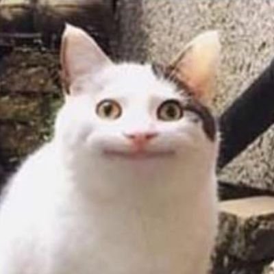 ChelseaSteel17's profile picture. 5SOS! 《Music》 ~Don't let small minds convince you that your dreams are too big~ •Australian•