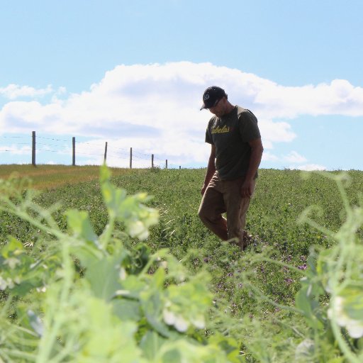 ZakOrganics's profile picture. 🇨🇦 4th generation farming family, certified organic farm