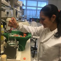 Johana Misas Villamil (@johanamisas) 's Twitter Profile Photo Johana Misas Villamil (@johanamisas) 's Twitter Profile Photo