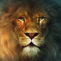 TheLionLogos🦁 (@thelionlogos) 's Twitter Profile
