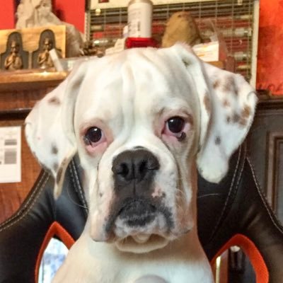 Larchedenoaloun's profile picture. 