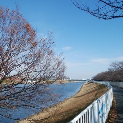 休みの日は気の向くまま、主にロードバイクで出かけています。Wilierで走りながら時々つぶやきます。気軽にフォローして下さい。 自転車以外のツィートもあります。時たま酔って意味不明の絡み有、ごめんなさい。