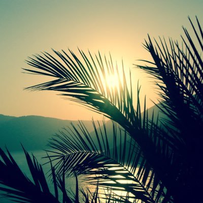 PaulBonner's profile picture. Professional PO