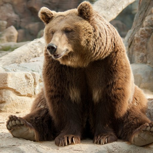 Lazy Bearさんのプロフィール画像