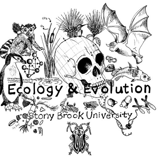 E&E @ SUNY Stony Brook University. We 😍 pop gen, evolutionary genomics & phylogenetics, conservation, marine, freshwater, ecosystem, & invasion ecology & more!