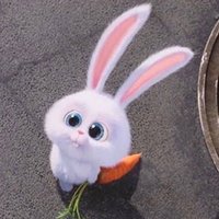 @Paradise92 (@paradise9213) 's Twitter Profile