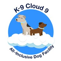 K9 Cloud 9(@K9Cloud9) 's Twitter Profile Photo