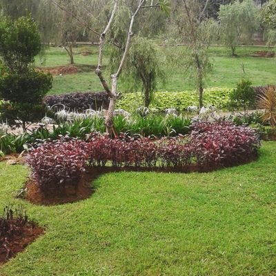 asnailaolbil's profile picture. Sayang allah swt,nabi muhammad,keluarga,os dn bb